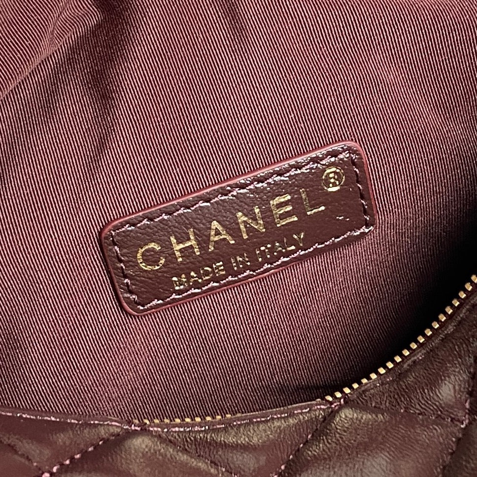 CAMERA BAG 24 IN CONGO BROWN SHINY CALFSKIN GOLD CHAIN