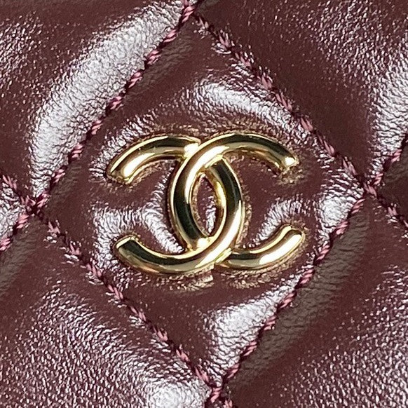 CAMERA BAG 24 IN CONGO BROWN SHINY CALFSKIN GOLD CHAIN